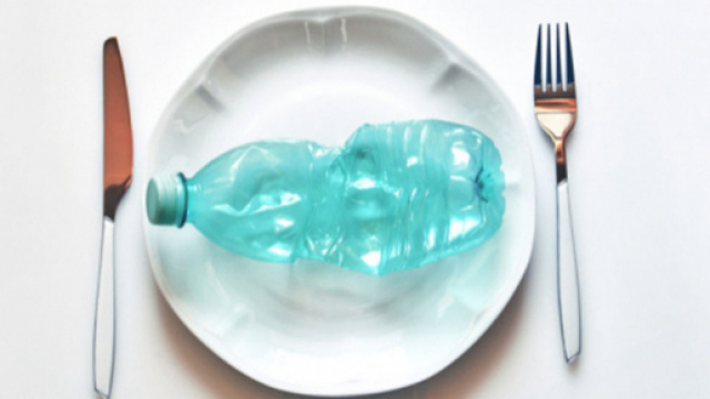 Microplastica nell'organismo umano: i risultati di uno studio recente