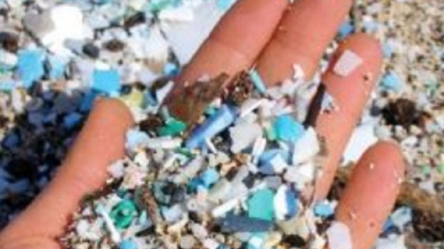 Microplastiche nell'intestino umano