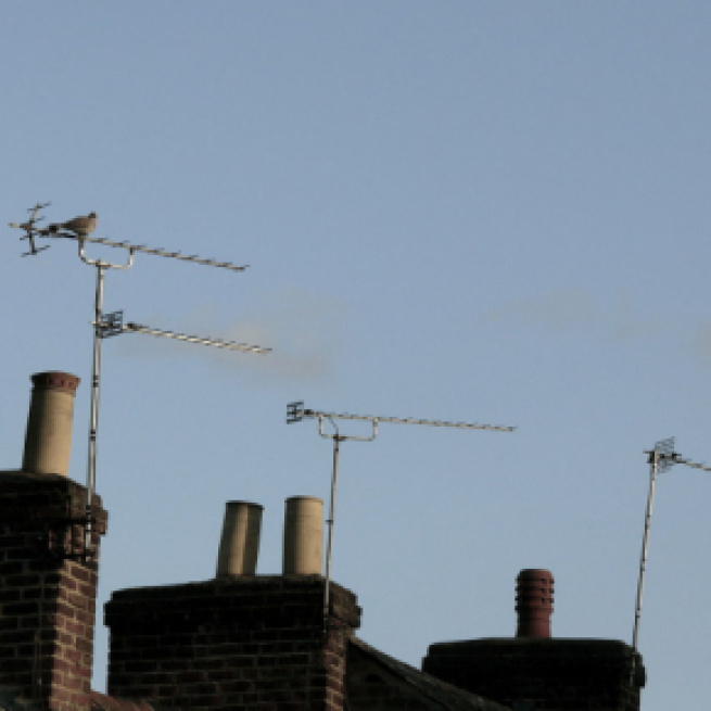 A centenarian got stuck on his roof for three days while trying to fix his own aerial. [Image Paul & Aline Burland/Wikimedia]