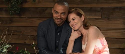 Sarah Drew: 'Con Jesse Williams è nato un rapporto lavorativo davvero speciale"
