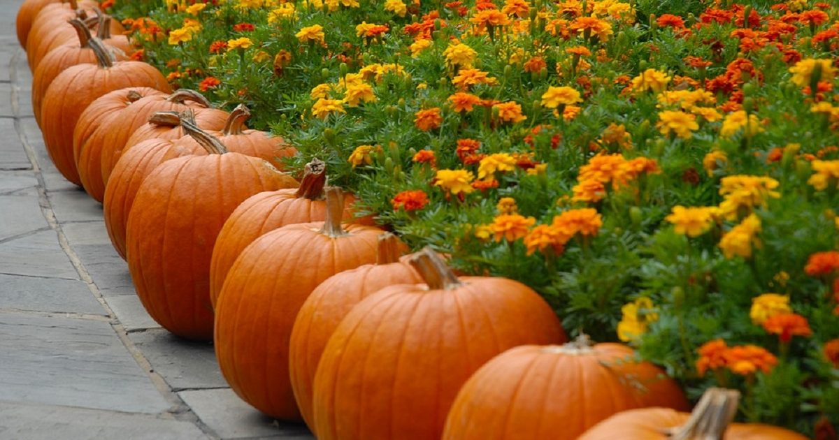 october-26-5-things-that-happened-on-this-day-in-history