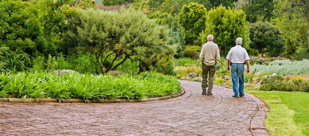 Pensioni e Manovra 2019, dopo il nuovo giudizio sul rating il Governo insiste su pensioni flessibili e reddito di cittadinanza Pensioni e Manovra 2019, dopo il nuovo giudizio sul rating il Governo insiste su pensioni flessibili e reddito di cittadinanza