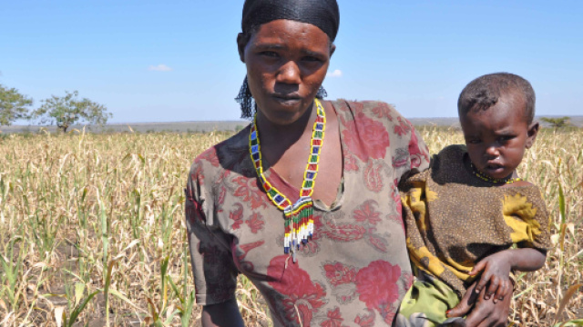 L'economia yemenita è ormai al collasso