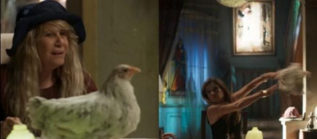 Na reta final, Galinha faz sucesso em Segundo Sol. (foto reprodução). Na reta final, Galinha faz sucesso em Segundo Sol. (foto reprodução).