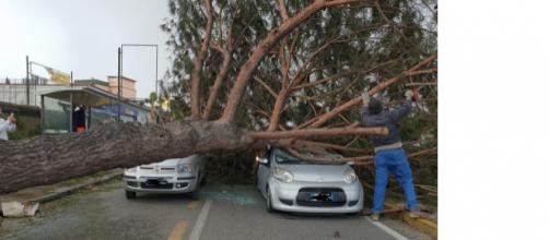 Via Montagna Spaccata, Pianura (Napoli): albero crolla su auto con passeggeri