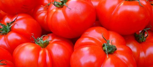 Pesticidi pericolosi nei pomodori italiani: la Croazia li sequestra e scatta l'allerta europea.