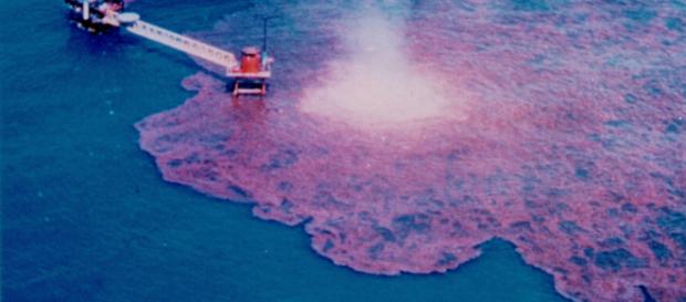 El reciente pacto comercial entre EEUU, Canadá y México expone al ambiente a graves daños. - inforegion.pe El reciente pacto comercial entre EEUU, Canadá y México expone al ambiente a graves daños. - inforegion.pe