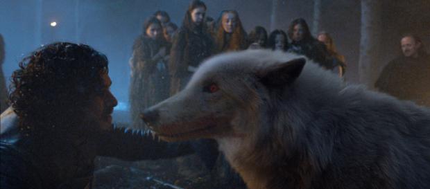 Fantasma y Jon Nieve en un fotograma de "Juego de Tronos" Fantasma y Jon Nieve en un fotograma de "Juego de Tronos"