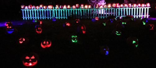 Rise Of The Jack O Lanterns A Long Island Tradition In The Month