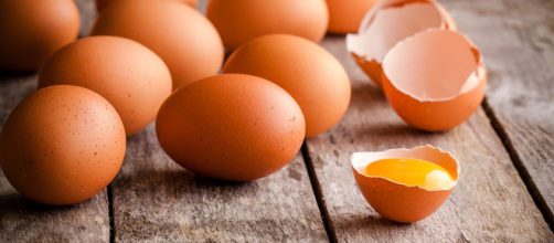 Lotti di uova contaminate dalla salmonella: l'allerta del Ministero della salute