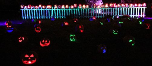 'Rise of the Jack O’Lanterns' at Old Westbury Gardens. / Images via Old Westbury, used with permission.