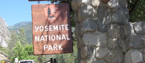 Tragedia allo Yosemite National Park, coppia precipita per circa 800 metri e muore