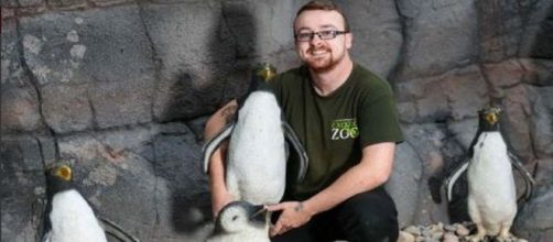 Telford Exotic Zoo is displaying plastic penguins in their new enclosure.[Image @Max1023FM/Twitter]