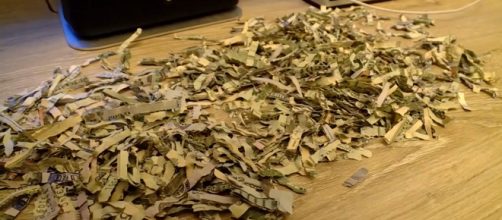 Ever wonder what $1,000 in shredded cash looks like? Wonder no more. [Image Eyewitness News/YouTube]