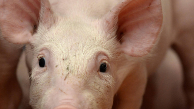 continent:afrique - seenthis.net