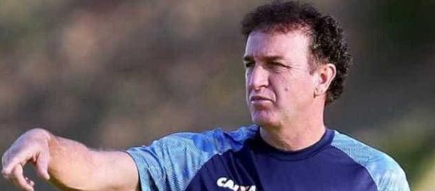Santos tem que melhorar profissionalmente, diz Cuca. Técnico vai em busca de classificação para 2019. (foto reprodução). Santos tem que melhorar profissionalmente, diz Cuca. Técnico vai em busca de classificação para 2019. (foto reprodução).