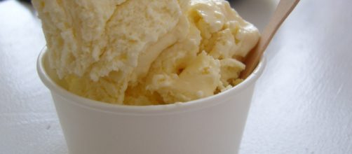 Vanilla ice cream image [Hilary Perkins - Flickr]