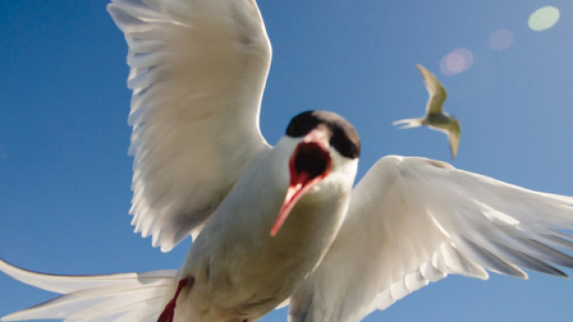 I dodici modi in cui l'Islanda ti pu&ograve; uccidere