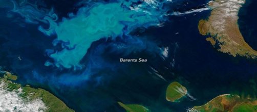 Barent Sea bloom - Russian fails in mapping - Image credit - earthobservatory | NASA | Gov
