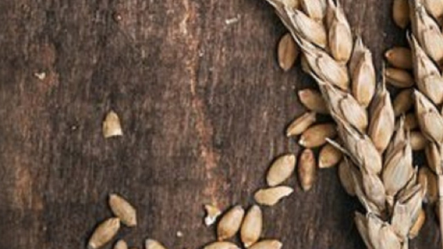 Glicemia: il cereale integrale &egrave; il migliore alimento salutare (Canva)