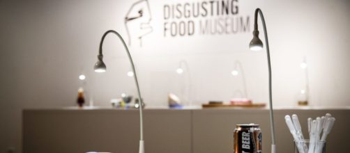 In Svezia ha aperto il primo museo al mondo dei cibi disgustosi. In esposizione anche il formaggio con i vermi sardo.