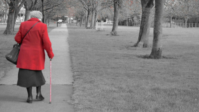 Pensioni flessibili e LdB 2019, reddito di cittadinanza e quota 100 fuori dalla Manovra per salvaguardare i conti pubblici