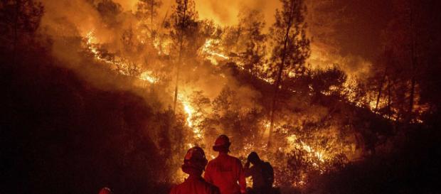 Trump anuncia el corte de fondos federales a California por incendios Trump anuncia el corte de fondos federales a California por incendios