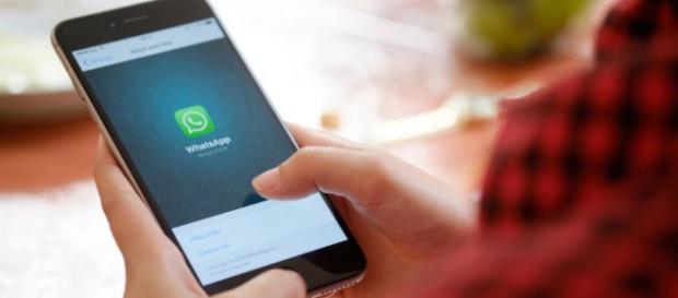 Usuários do WhatsApp poderão perder todas as mensagens Usuários do WhatsApp poderão perder todas as mensagens