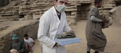 Egitto, mummie e simulacri di gatti e scarabei riportati alla luce