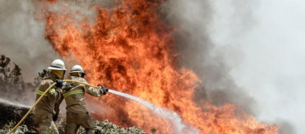 Incendios forestales están afectando al estado de California, Estados Unidos. Incendios forestales están afectando al estado de California, Estados Unidos.