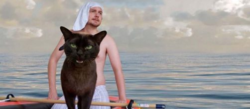 A cat owner uses his pets to recreate famous movie scenes. [Image @moviecats/Instagram