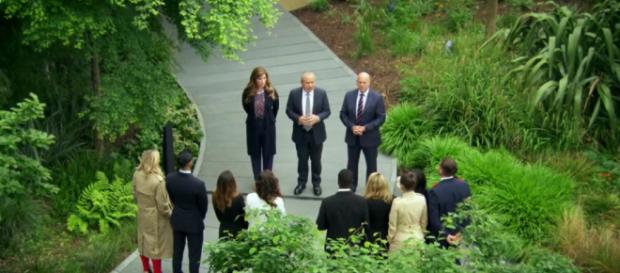 Horticultural horrors as teams fail to deliver beautiful urban gardens to clients (Image credit: The Apprentice BBC iPlayer screen grab) Horticultural horrors as teams fail to deliver beautiful urban gardens to clients (Image credit: The Apprentice BBC iPlayer screen grab)