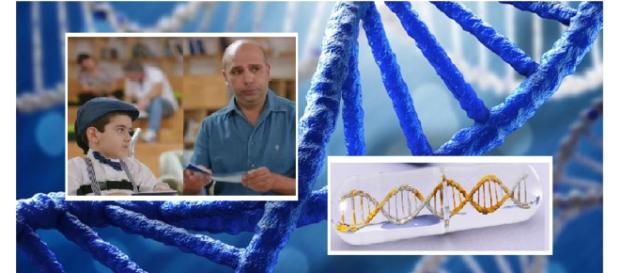 Finalmente è disponibile il primo farmaco contro l’atrofia muscolare spinale di tipo 1. Purtroppo AVSX-101 ha un costo davvero proibitivo. Finalmente è disponibile il primo farmaco contro l’atrofia muscolare spinale di tipo 1. Purtroppo AVSX-101 ha un costo davvero proibitivo.