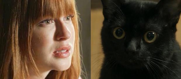 O misterioso gato carrega um grande segredo que promete surpreender o público ao vir à tona nos próximos capítulos da novela. O misterioso gato carrega um grande segredo que promete surpreender o público ao vir à tona nos próximos capítulos da novela.