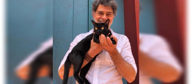 Gato León mostrará sua forma humana em breve Gato León mostrará sua forma humana em breve