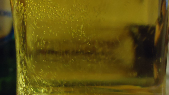 Svizzera, coppia svegliata di soprassalto da un estraneo ubriaco che si era introdotto in casa