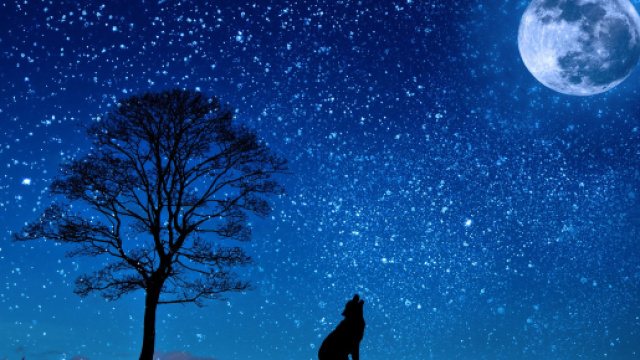 Oroscopo di Natale per tutti i segni dello Zodiaco.
