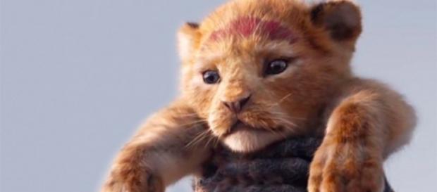 Asi se vera el pequeño Simba en la nueva versión de El Rey León Asi se vera el pequeño Simba en la nueva versión de El Rey León