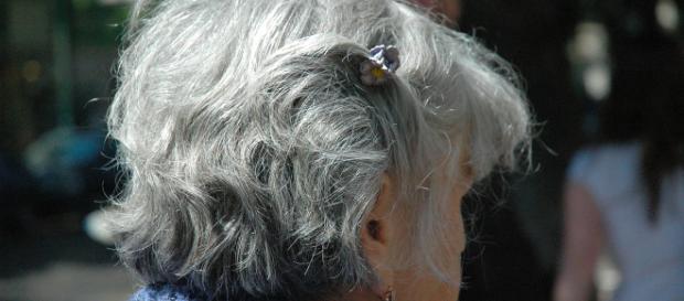 Pensioni flessibili: sindacati in pressing sulla legge Fonero Pensioni flessibili: sindacati in pressing sulla legge Fonero
