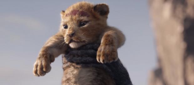 Live-action de 'O Rei Leão' ganha primeiro trailer.(Imagem: Yahoo!) Live-action de 'O Rei Leão' ganha primeiro trailer.(Imagem: Yahoo!)