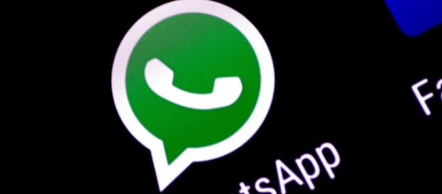 Nuova truffa su WhatsApp a pagamento: attenzione alla bufala Nuova truffa su WhatsApp a pagamento: attenzione alla bufala