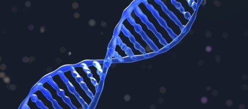 Cina, sarebbero stati creati i primi esseri umani con Dna modificato