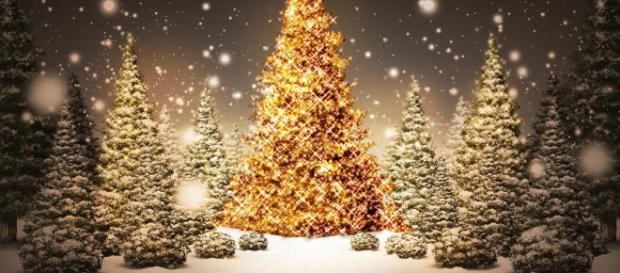 Offrez les cartes « cani-cadeau » pour Noël ! – Escapade Nordique - escapade-nordique.com Offrez les cartes « cani-cadeau » pour Noël ! – Escapade Nordique - escapade-nordique.com