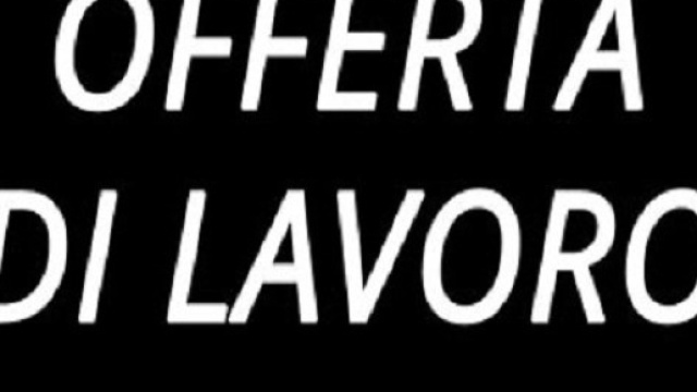 Assolavoro annuncia l'offerta di 16000 posti di lavoro nel periodo natalizio