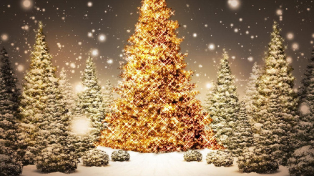 Offrez les cartes « cani-cadeau » pour Noël ! – Escapade Nordique - escapade-nordique.com