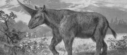 Sibarian Unicorn - Prehistoric Animals from 1908 in Tierbuch by Wilhelm Bolsche | Wikimedia