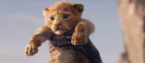 Lion King 2019 cast - The Lion King remake has added a brand new ... - digitalspy.com