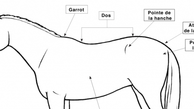 Conseil National Pour Les Soins Aux Animaux d'Élevage - Code de ... - nfacc.ca