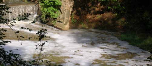 Frosinone, schiuma nel fiume Sacco: il blitz dei carabinieri forestali nel depuratore.