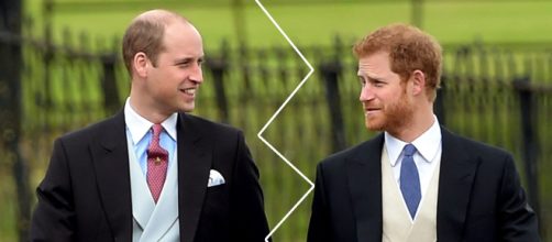 Principi Harry e William insieme